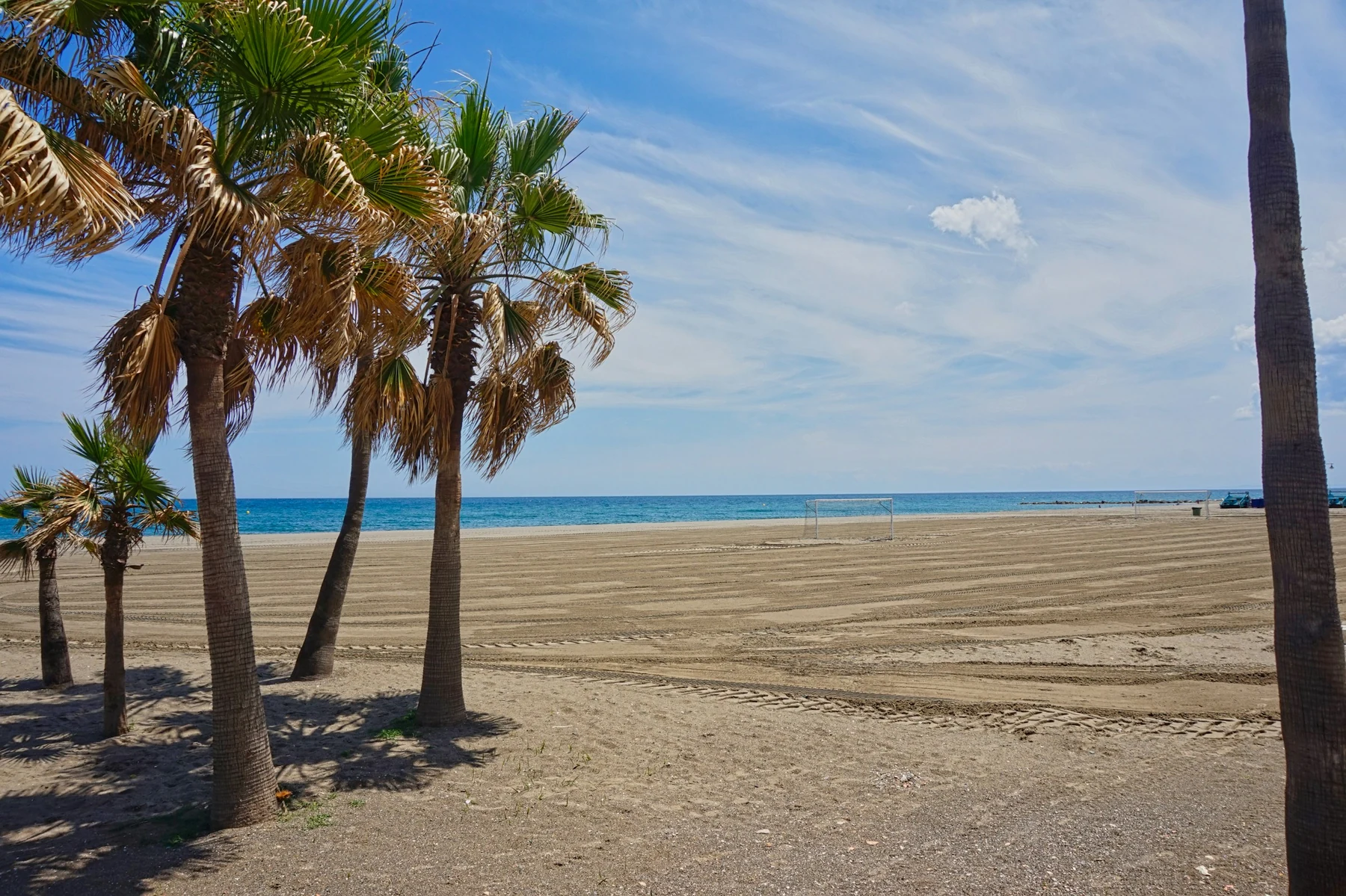 Palm trees beside the sandy beach and blue Mediterranean in Estepona